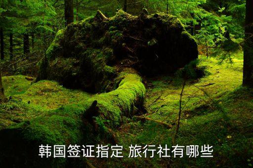韩国签证指定 旅行社有哪些