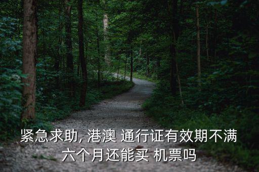 紧急求助, 港澳 通行证有效期不满六个月还能买 机票吗