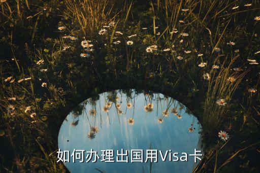 国外申请的万事达卡,国外刷万事达卡要手续费吗