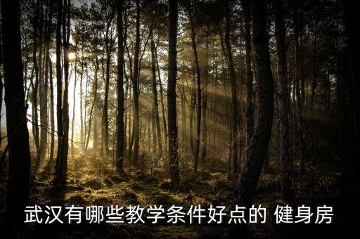武汉有哪些教学条件好点的 健身房