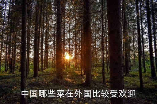 中国哪些菜在外国比较受欢迎