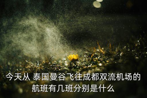 今天从 泰国曼谷飞往成都双流机场的航班有几班分别是什么