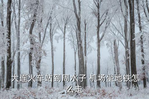  大连火车站到周水子 机场坐地铁怎么走