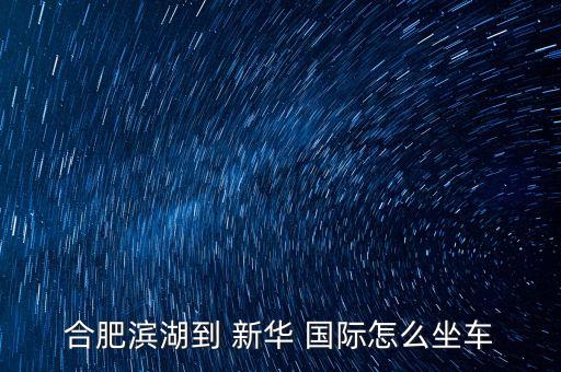 合肥滨湖到 新华 国际怎么坐车