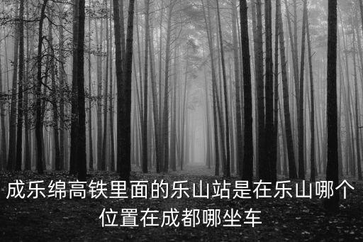成乐绵高铁里面的乐山站是在乐山哪个位置在成都哪坐车