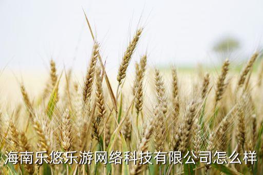 海南乐悠乐游网络科技有限公司怎么样