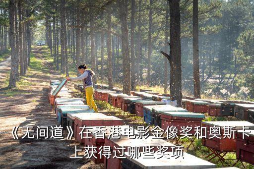 《无间道》在香港电影金像奖和奥斯卡上获得过哪些奖项