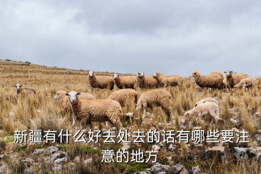  新疆有什么好去处去的话有哪些要注意的地方