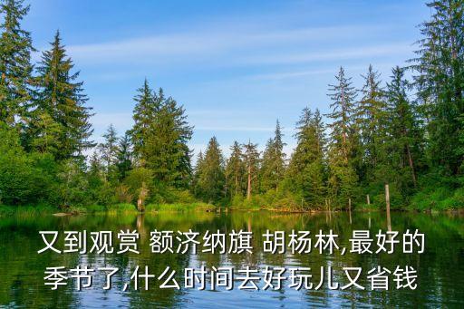 酒泉到额济纳旗班车国外金塔胡杨林