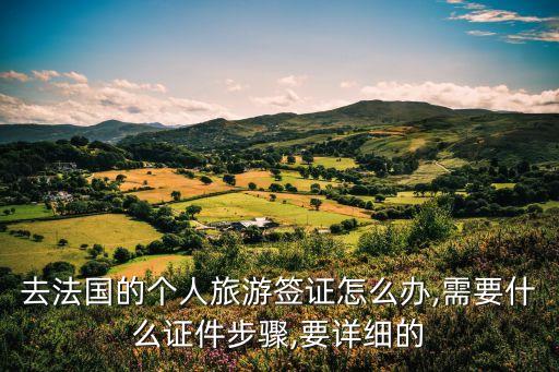 法国外交部网站
