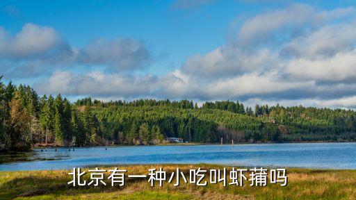 北京有一种小吃叫虾蒱吗