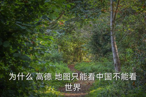 高德地图不能导航国外