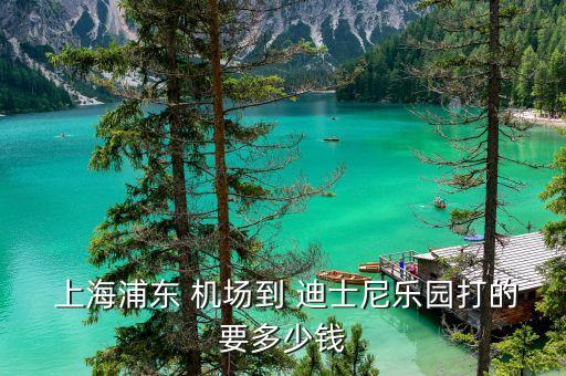 上海浦东国际机场t1到迪士尼