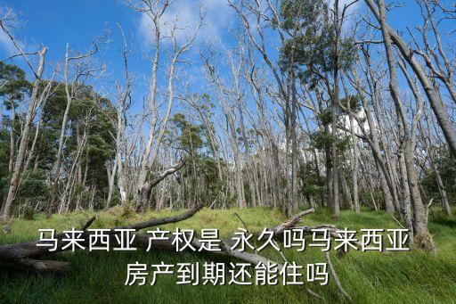 国外房产永久产权,新加坡房产是永久产权吗