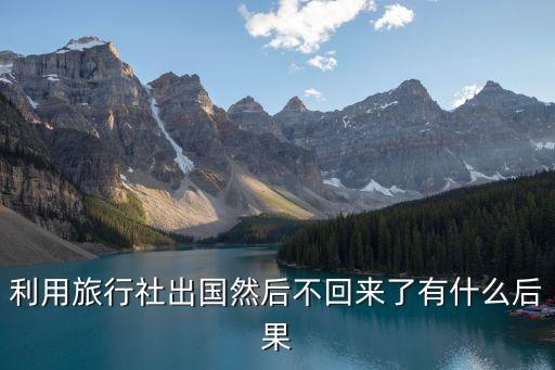 利用旅行社出国然后不回来了有什么后果