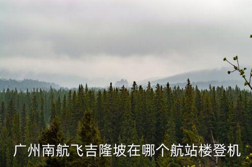 广州 机场 国内 国际,广州机场国际出发