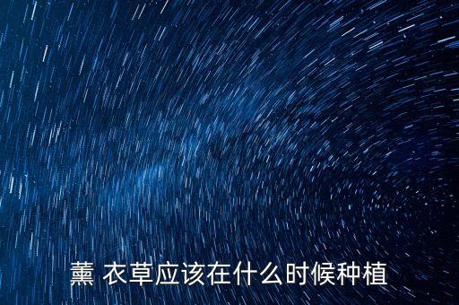 国外薰衣草照片,薰衣草是国外引进的吗