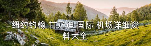 纽约约翰·甘乃迪 国际 机场详细资料大全