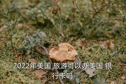2022年美国 旅游可以办美国 银行卡吗