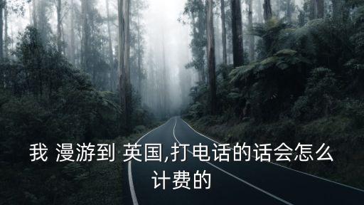 我 漫游到 英国,打电话的话会怎么计费的