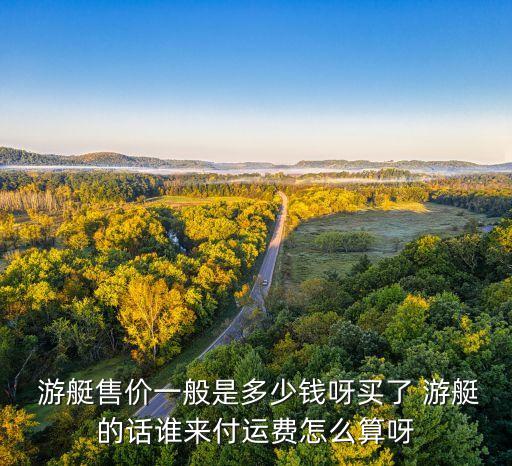  游艇售价一般是多少钱呀买了 游艇的话谁来付运费怎么算呀