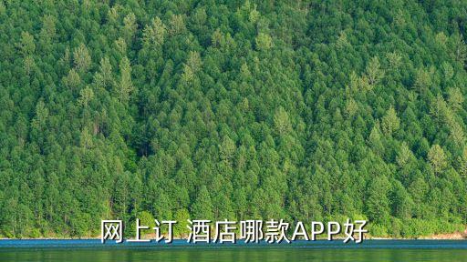 网上订 酒店哪款APP好