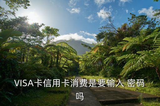 国外刷借记卡用密码吗,国外为何不能刷借记卡