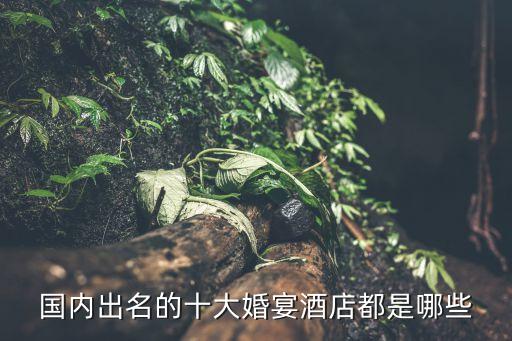 国内出名的十大婚宴酒店都是哪些
