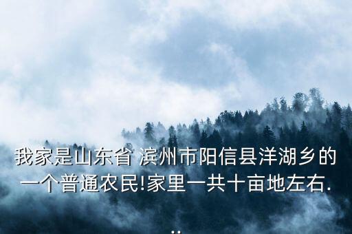 滨州国际会展中性能