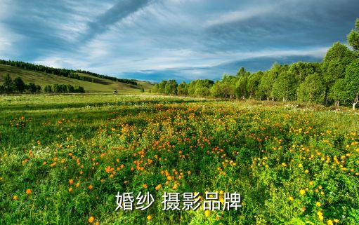 婚纱 摄影品牌