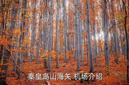 秦皇岛北戴河国际机场航班时刻表,天津滨海国际机场航班时刻表