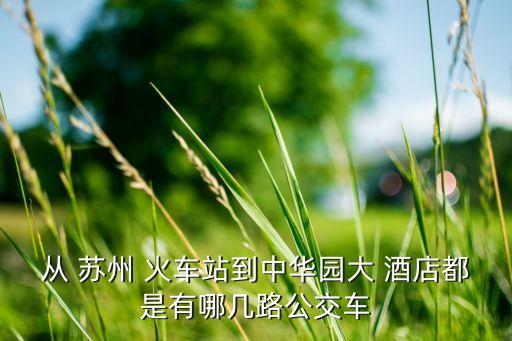 从 苏州 火车站到中华园大 酒店都是有哪几路公交车