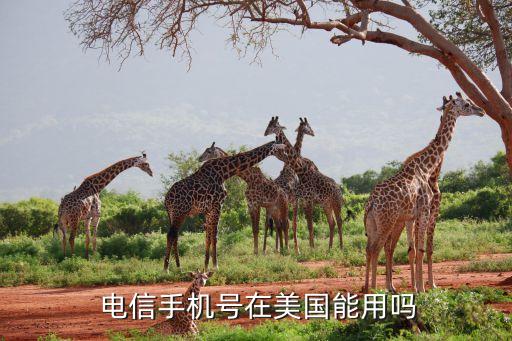国外有电信卡么,电信卡怎么到了国外用不了