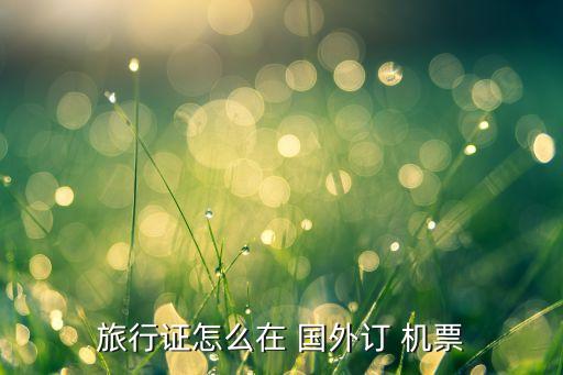 旅行证怎么在 国外订 机票