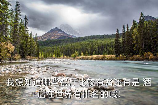 我想知道哪些餐厅比较有名还有是 酒店在世界有排名的哦!