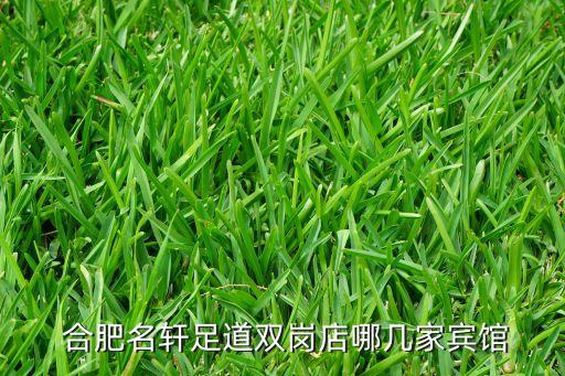 合肥名轩足道双岗店哪几家宾馆