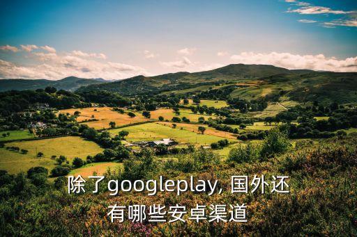 除了googleplay, 国外还有哪些安卓渠道