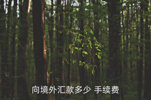 向境外汇款多少 手续费