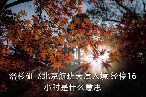 洛杉矶飞北京航班天津入境 经停16小时是什么意思