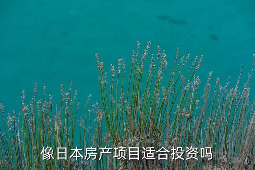 国外房地产租售,房地产租售并举