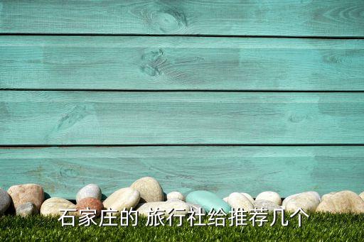  石家庄的 旅行社给推荐几个