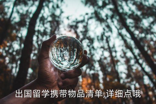国外带点东西