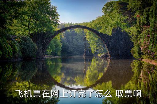 飞机票在网上订完了怎么 取票啊