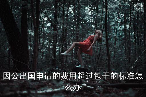 因公出国申请的费用超过包干的标准怎么办