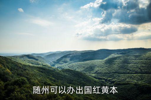 武汉市国际体检中心在哪里,出国签证体检武汉市在哪里
