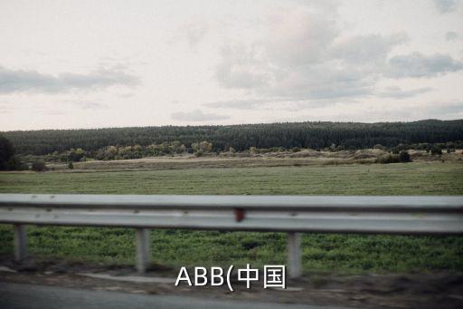 ABB(中国