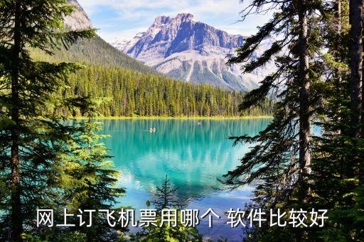 网上订飞机票用哪个 软件比较好