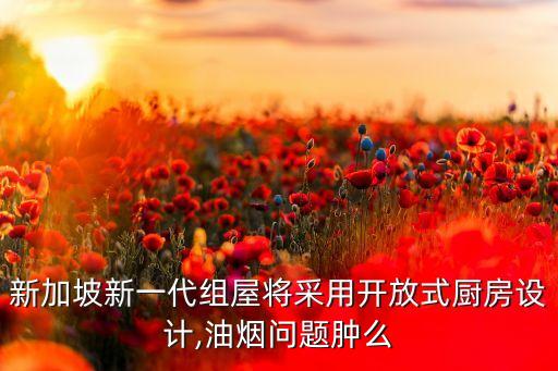 新加坡新一代组屋将采用开放式厨房设计,油烟问题肿么