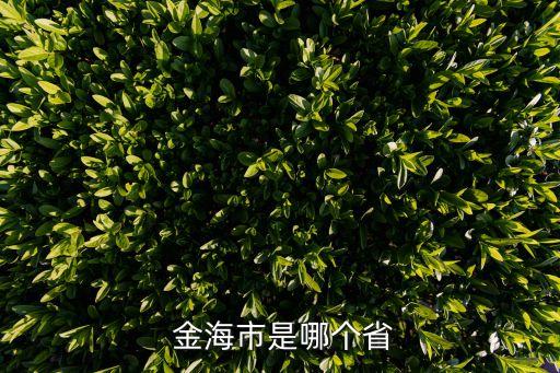  金海市是哪个省