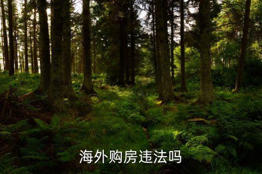 海外购房违法吗